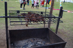 户外烧烤架上的美味烤肉