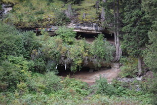 山林间的隐秘溪流景观