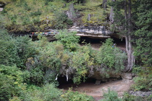 山间繁茂植被覆盖的崖壁