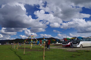 户外草地游乐场景
