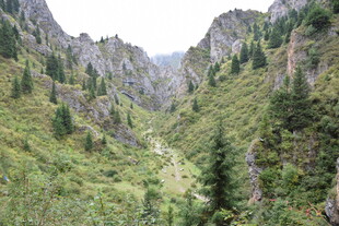 山间翠绿峡谷美景