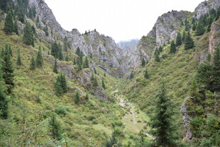 山间绿野 葱郁山谷景致