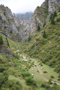 山间绿野山谷美景