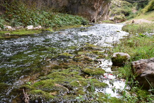 山间潺潺溪流 绿意盎然