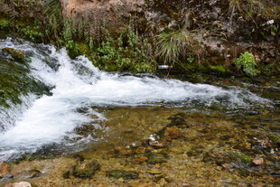 山间溪流潺潺流淌