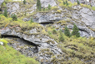 山间岩石与绿植景观