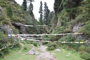 山间经幡飘扬的静谧景致