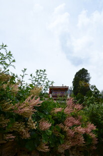 山林间的中式建筑景观