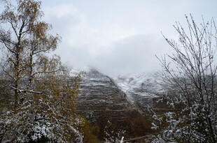 雪覆山峦与树木的景致