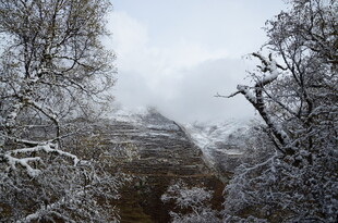 雪覆山林美景