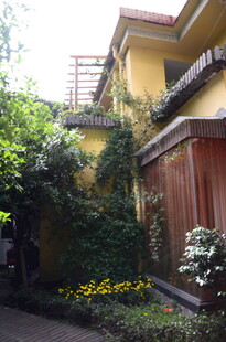 黄墙绿植环绕的温馨住宅