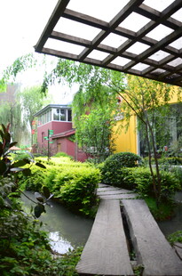 庭院绿植景观小径