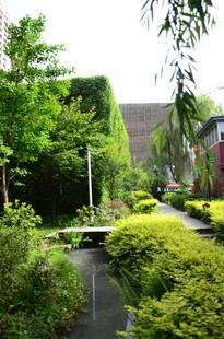 静谧庭院绿植景观