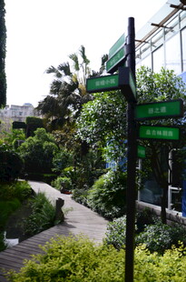 花园小径旁的指示牌