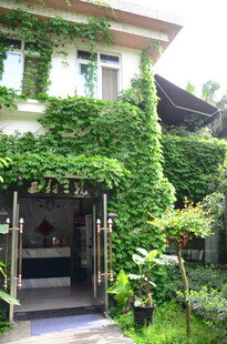 藤蔓覆盖的雅致建筑