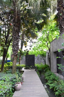 幽静庭院中的绿植小道