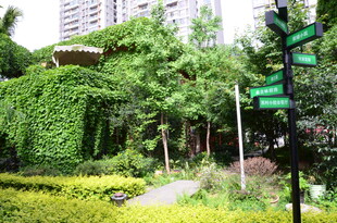 城市中的绿意盎然花园