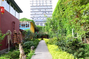 庭院绿植环绕的幽静小道