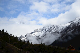 雪山云雾下的山林美景
