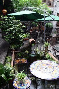 庭院绿植环绕的休闲角落