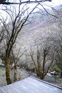 雪覆山谷中的木质平台