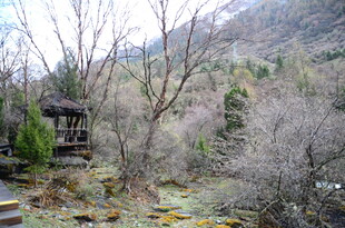 山间古朴亭子与萧瑟树林