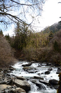 山间溪流潺潺的自然美景