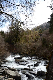 山间溪流 自然宁静之景