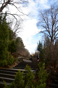 山间石阶旁的树木与蓝天