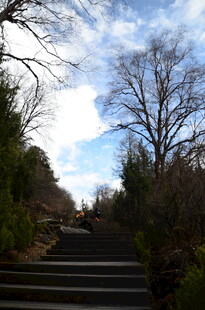 林间石阶 冬日景致