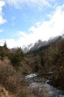 山间溪流与远处雪山美景