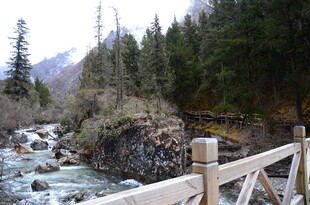 山间木桥旁的潺潺溪流