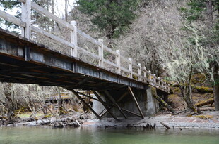 山间木桥横跨潺潺溪流