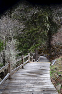 山间木栈道 自然好风光
