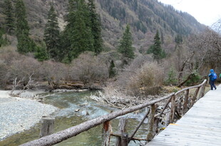 山间木桥徒步者赏景