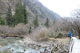 山间小径旁的溪流与行人