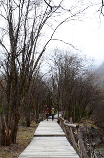 冬日木栈道漫步景致