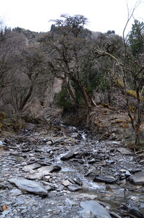 山间碎石溪流景象