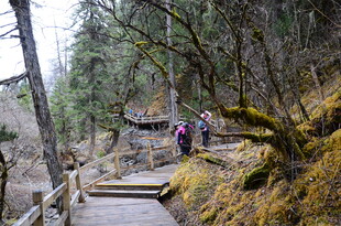 山间木栈道上的徒步者