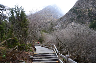 山间木栈道 雾霭山林景