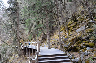 山间木质栈道 自然景致
