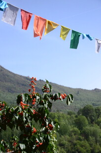 山间飘扬的多彩经幡