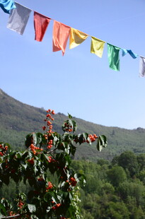 山间飘扬的多彩经幡