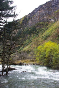 山间湍急溪流与葱郁山林