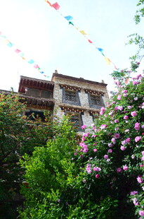 繁花簇拥的古朴建筑