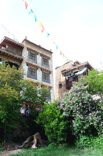 老旧居民楼旁绿植与彩旗