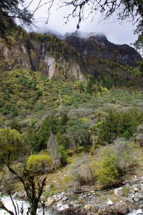 山间绿意盎然的自然景致