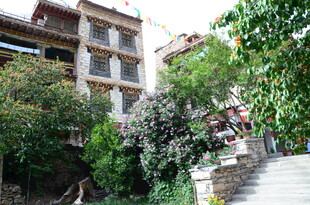 山间绿植环绕的古朴建筑