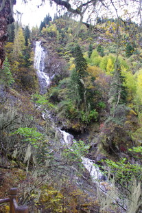 山间瀑布丛林美景