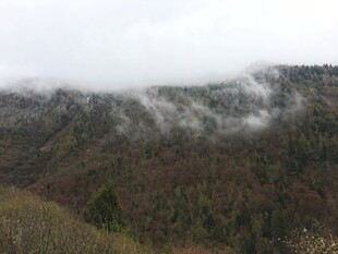 山间云雾缭绕的秀丽景致